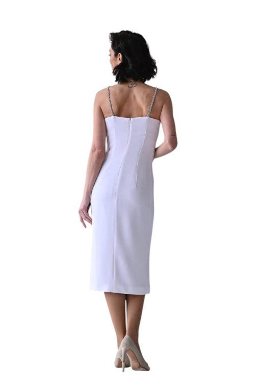 Біла прителька акцетн2